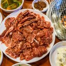 태백사람들