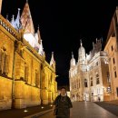 도심어부 | 헝가리 부다페스트 여행 어부의 요새 야경 마차시 성당