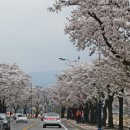 아라커피 이미지