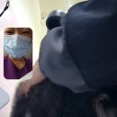 버블독스원주