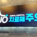 치료해주오 이미지