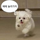 골막식당 이미지