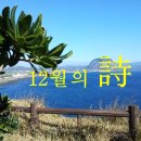 어느, 오후엔 이미지