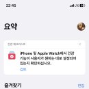 진소 이미지