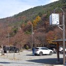 농암시장 이미지