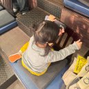 가족뮤지컬 인어공주 | 23개월 아기랑 주말 대학로 공연 관람 클래식 가족뮤지컬 반짝반짝 인어공주