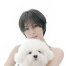 수지도나 이미지