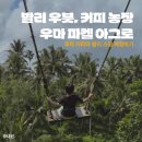 파켈로 | [인도네시아/발리/우붓] 루왁커피와 발리스윙 체험, 우마 파켈 아그로 투어리즘 앤 스윙