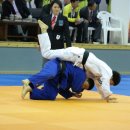 제주특별자치도 유도회관 이미지