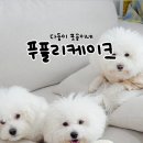 푸플리 케이크 이미지