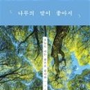 나무컨설팅 이미지