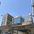 복약국 | 명동 레디영 약국 화장품 추천 | 쥬비렉스 올리고 PDRN 직접 써본 후기