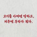 황부자 이미지
