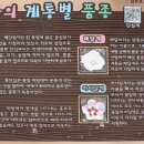 무궁화별