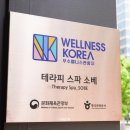 테라피스파소베홀리데이인점 이미지