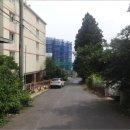 서호동-4 이미지