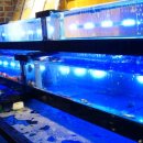 호성가정의원 이미지