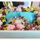 대박이 PC 이미지