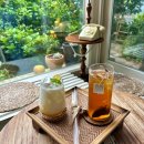 귤꽃다락