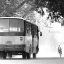 대지약국 이미지