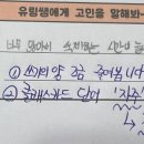 광안초등학교 이미지