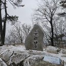 욜로종합관리 이미지