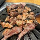 제주반디하우스 이미지