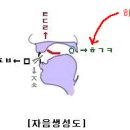 소리원리 =＞ [한]이 표준어일까? [칸]이 표준어일까? 이미지