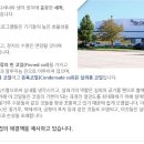 은평-062 네이버블로그