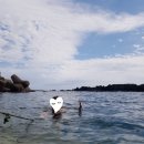 남원읍-47 이미지