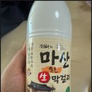 강철구 | 마시자 하루!) 마산막걸리 후기 _ 260221