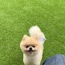 커피멍 - 원주시 | 커피멍