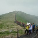 한마음카페 - 안양시 만안구 삼막로39번길 9 | 한마음카페