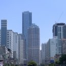 아지동물병원 | 2025년 6월부터 12월까지 톺아보기