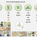 (주)바이오셀 이미지