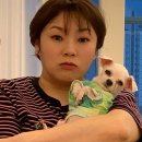 햇님 이미지