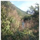 은덕농장 이미지