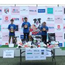 윤선생 애견훈련소 이미지