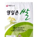 노노예예 이미지