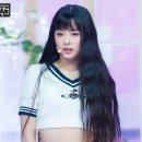 설하헤어 이미지