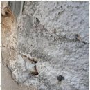 현대종합써비스 이미지