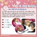 아이럽뽀