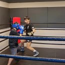 성남 탑 복싱 이미지