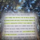 어제의정원 | 여행의 이유 책 | 김영하 책 후기 | 어제의 후회와 내일의 불안 사이에서 오늘을 잃어버린 당신에게...