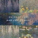 르피에로(LE PIERROT) | 파리 오랑주리 미술관, 모네의 수련에 흠뻑 빠지다!