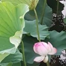 푸드타임