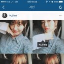 라임코스메틱