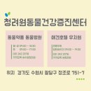애드세이버 이미지