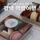 [고언니] 시외버스 타고 갔다온 당일치기 평택 먹방여행 추천코스