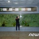 (주)신라애니멀그룹(대전아쿠아리움) 이미지